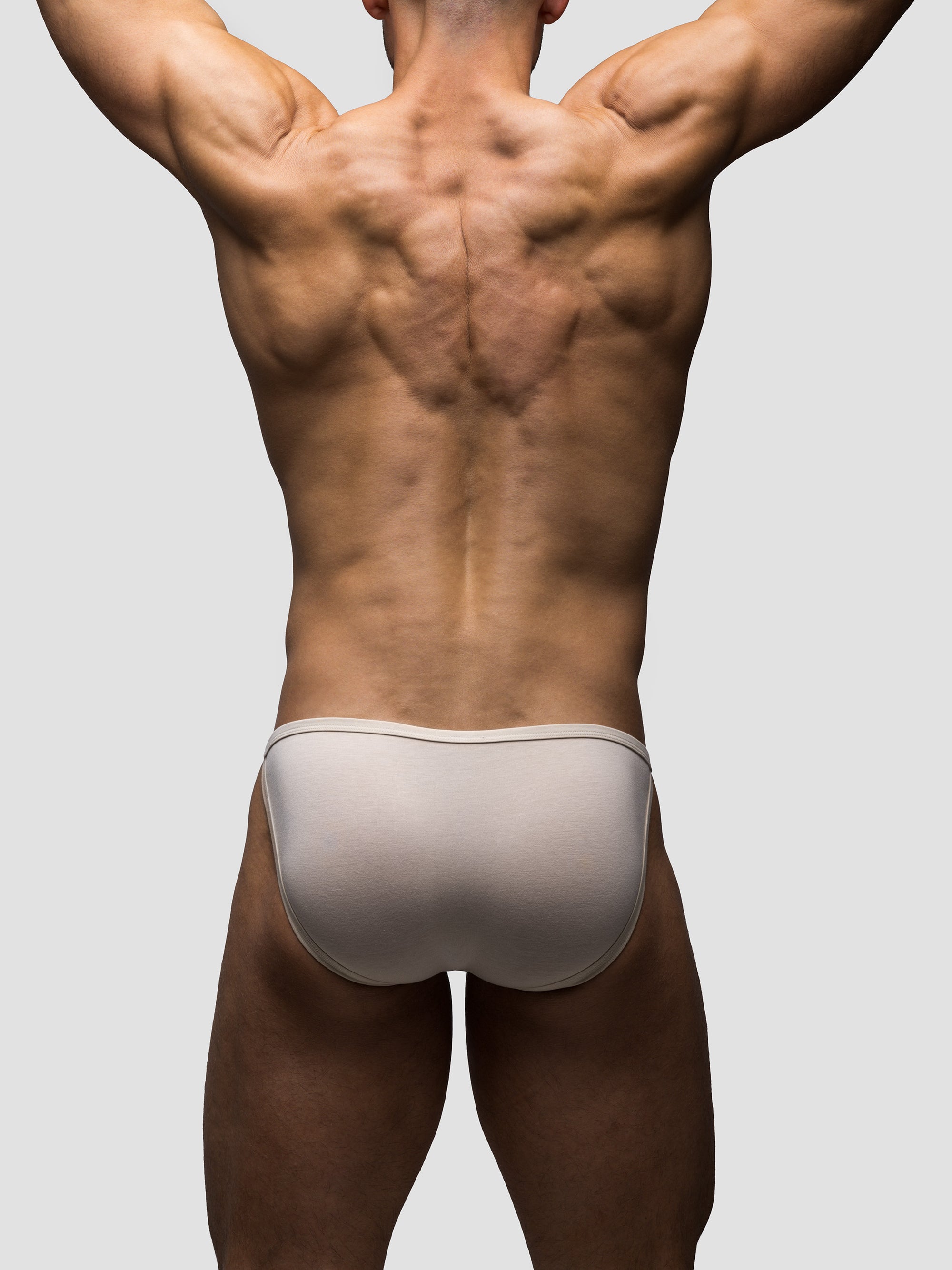 Stone Endurance Brief