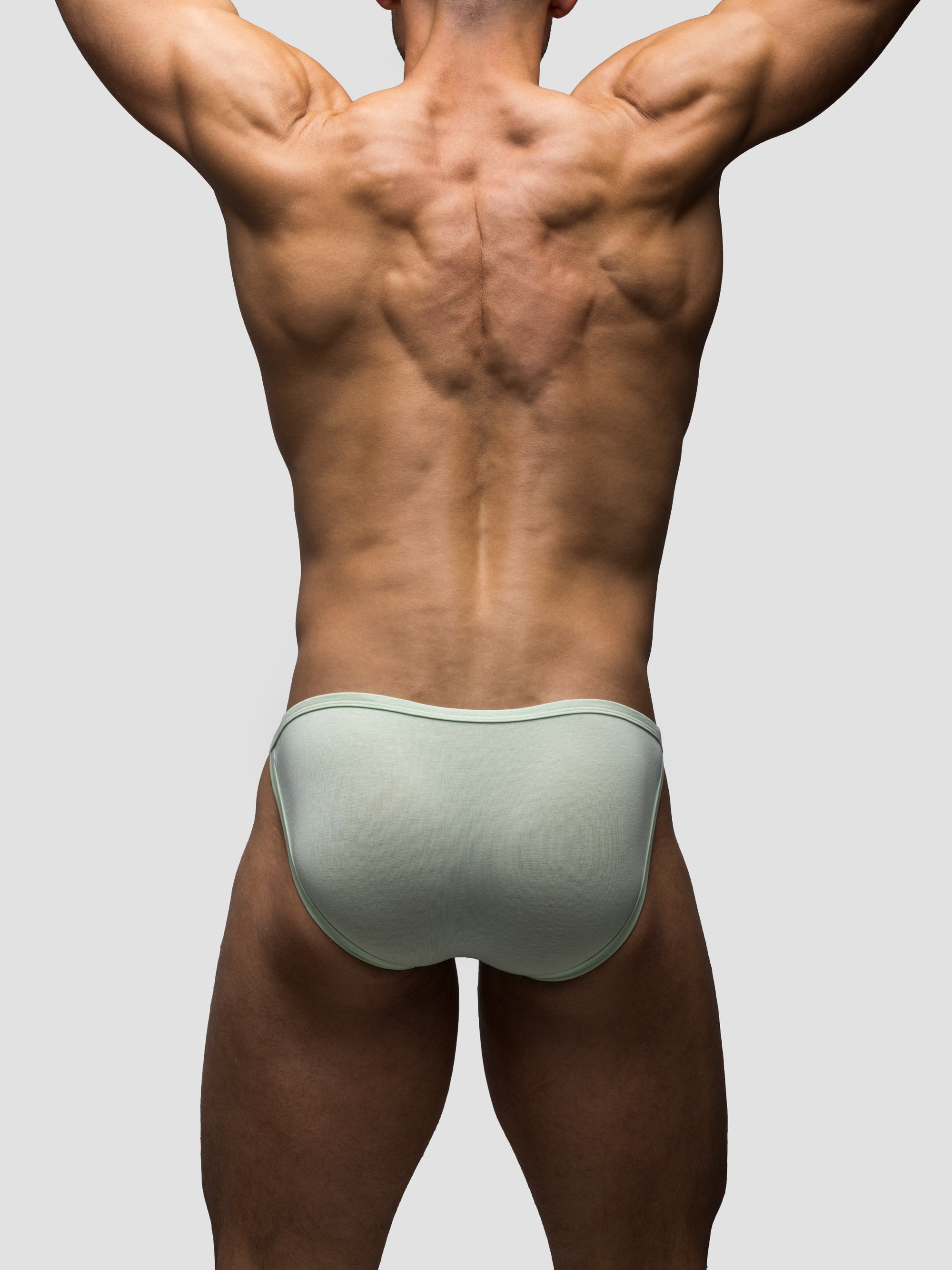 Sage Endurance Brief