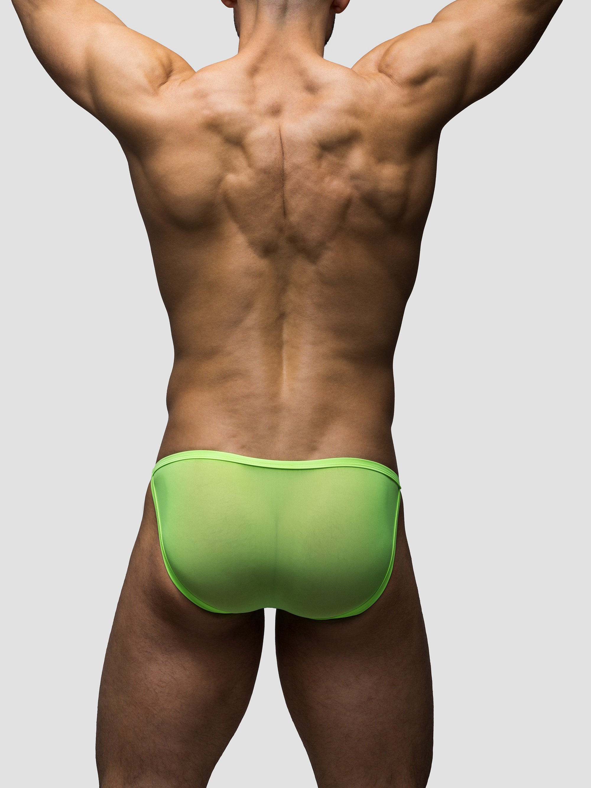 Chlorophyll | Mesh Endurance Brief