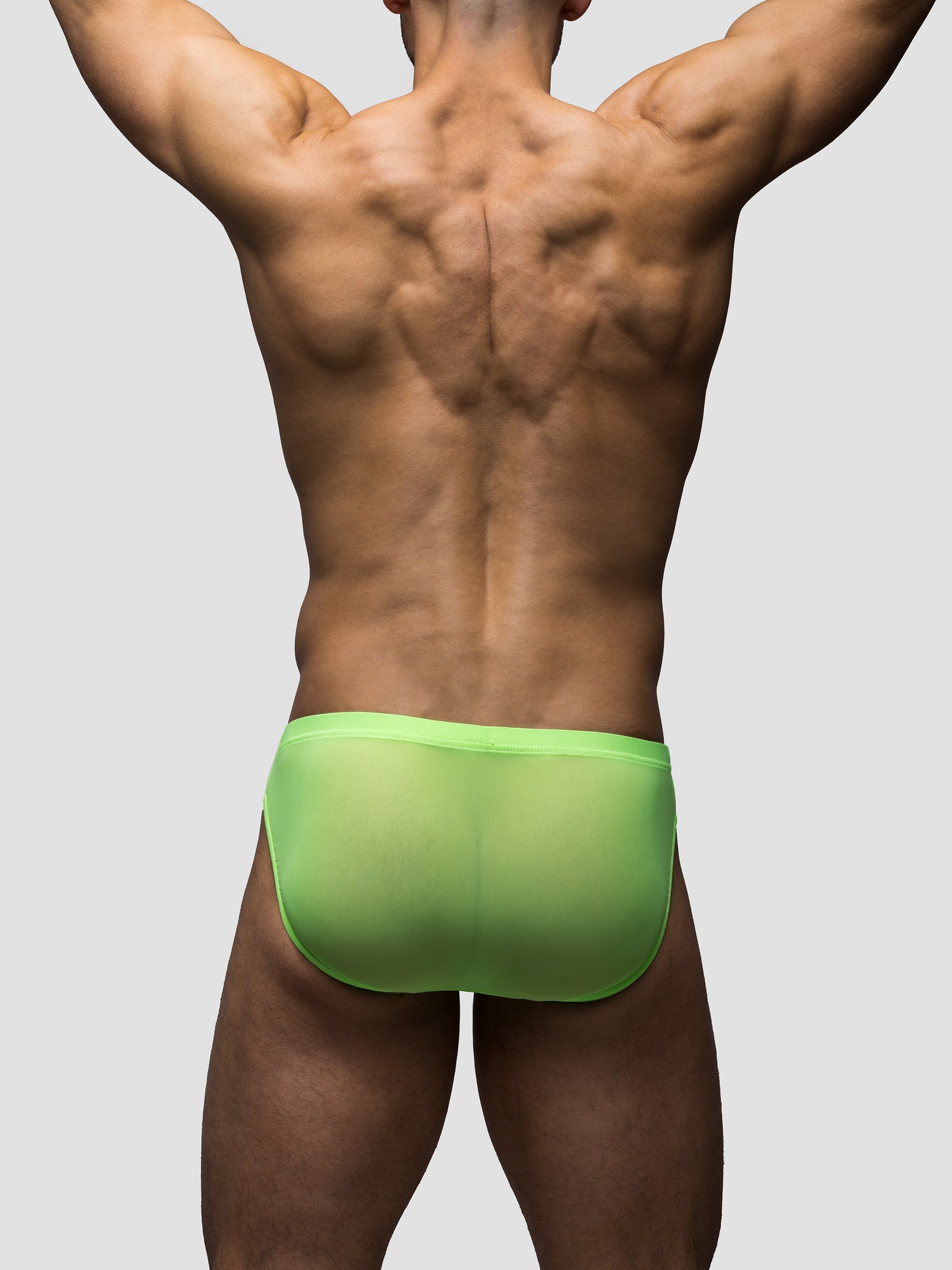 Chlorophyll | Mesh Bikini Brief