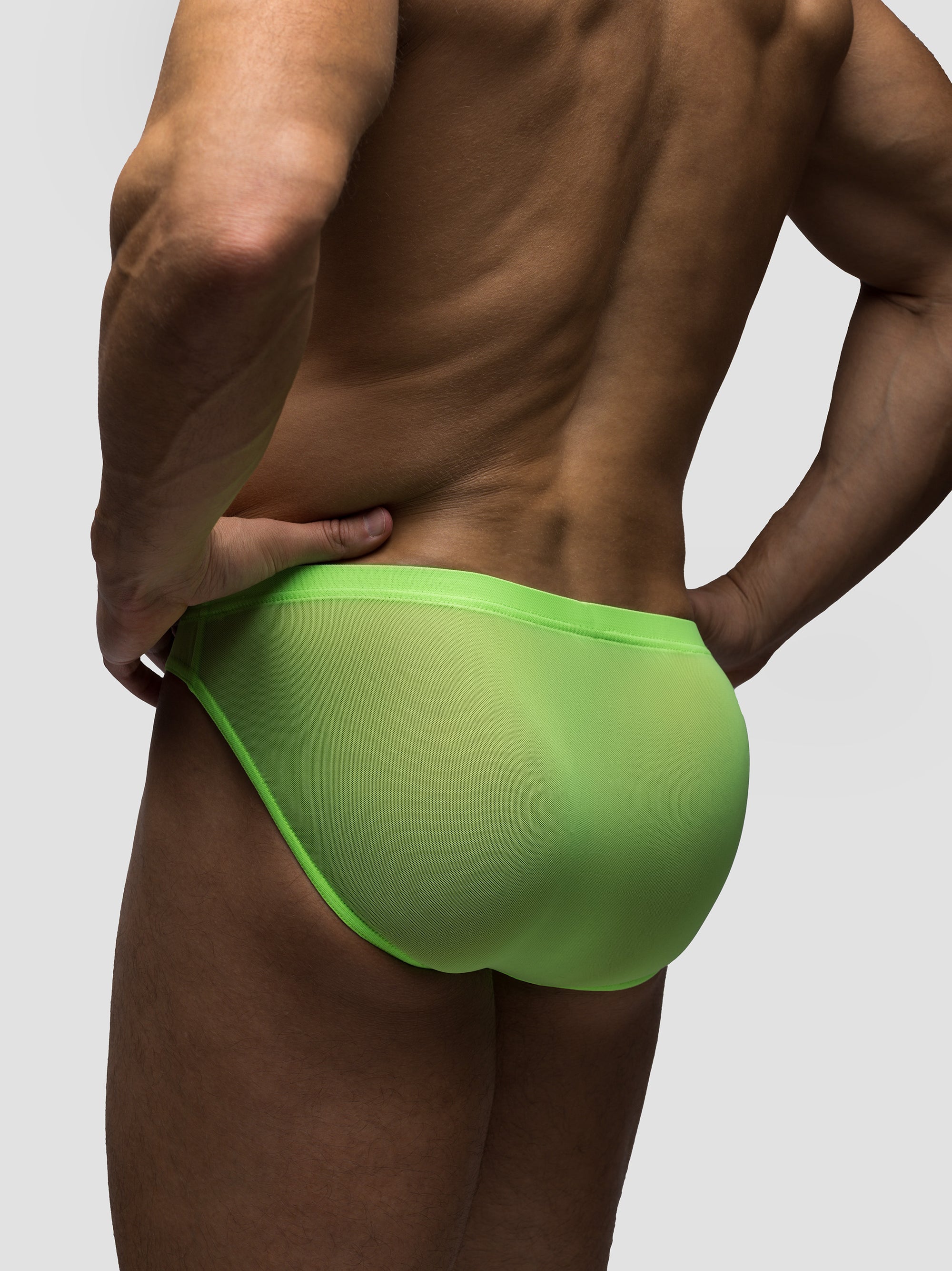 Chlorophyll | Mesh Bikini Brief