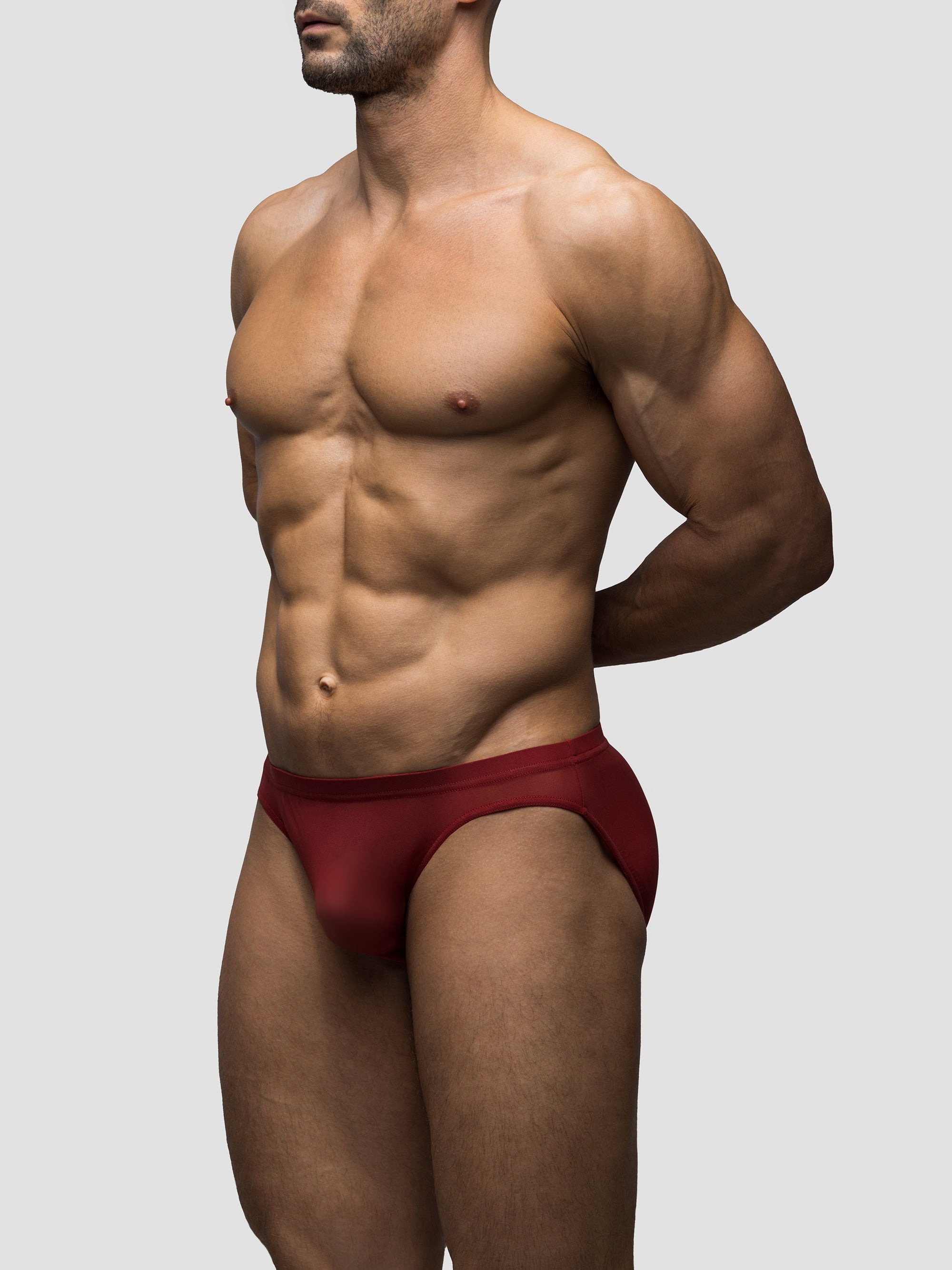 Cabernet | Mesh Bikini Brief