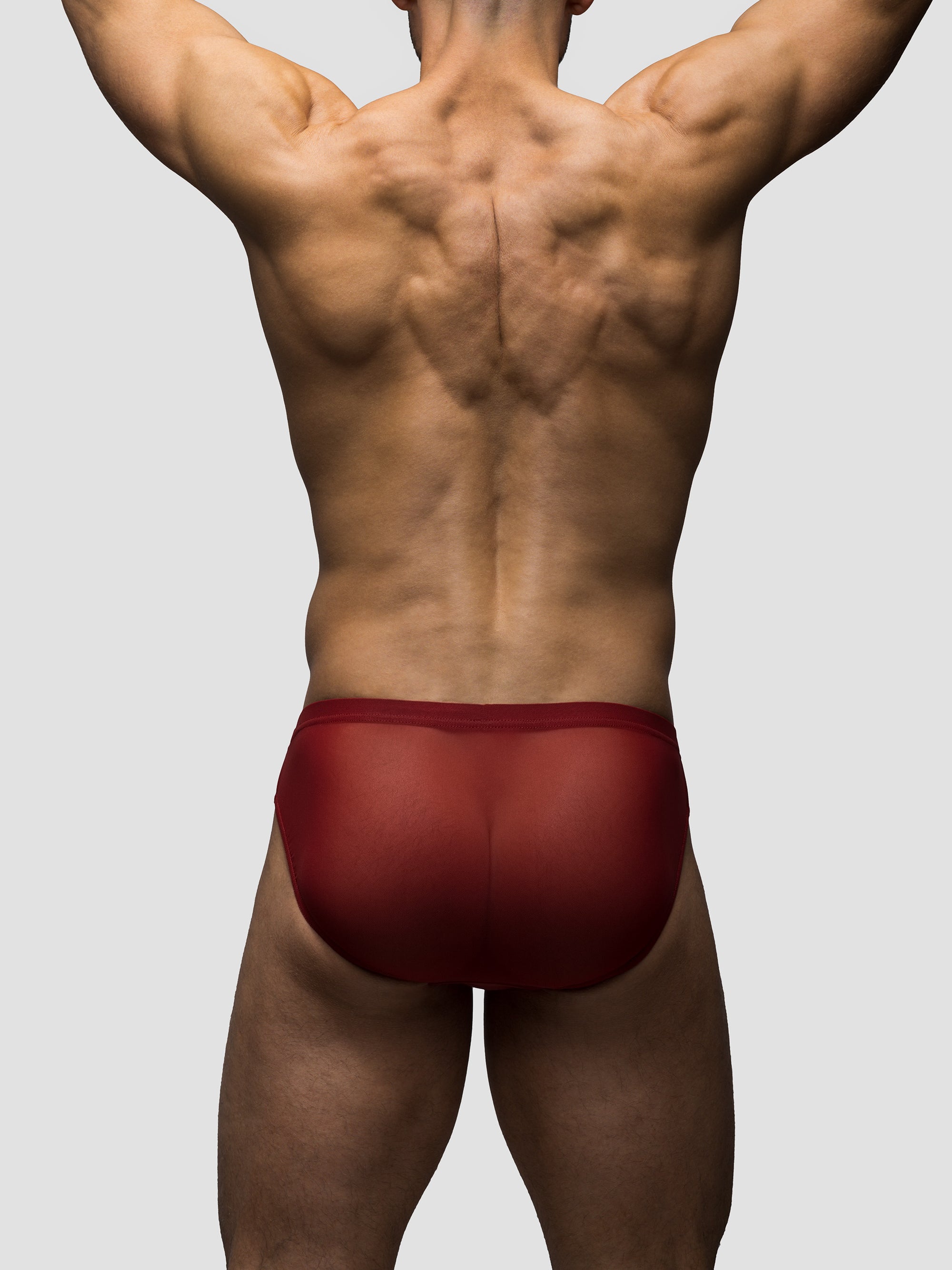 Cabernet | Mesh Bikini Brief